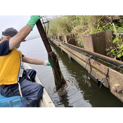 「霞ヶ浦の天然うなぎ」　霞ヶ浦で漁体験　1名様分