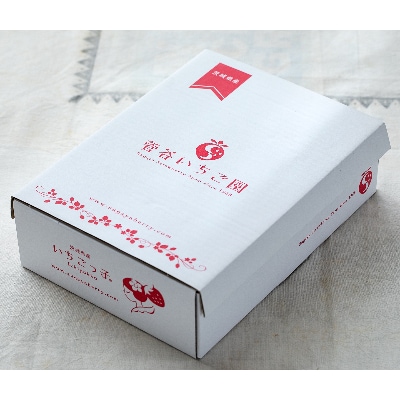 菅谷いちご園の完熟いちご『いちごっ子』 3Lサイズ 11粒×4パック【配送不可地域：離島・北海道・沖縄県・信越、北陸・東海・近畿・中国・四国・九州】