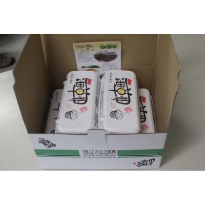 ナカジマ農場こだわりたまご「海藻卵」20個と温泉卵10個(海藻卵15個+温泉卵5個+割れ保障各5個)【配送不可地域：離島】