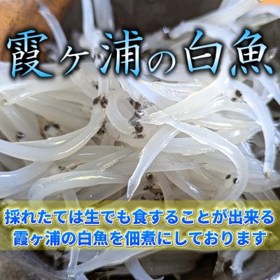 【甘辛がご飯に合う!】白魚くるみ(佃煮) 620g(155g×4パック)