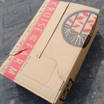 さつまいも(シルクスイート5kg)