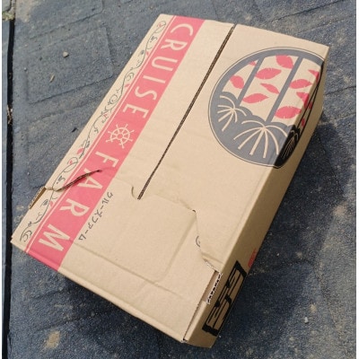 さつまいも(紅はるか)5kg