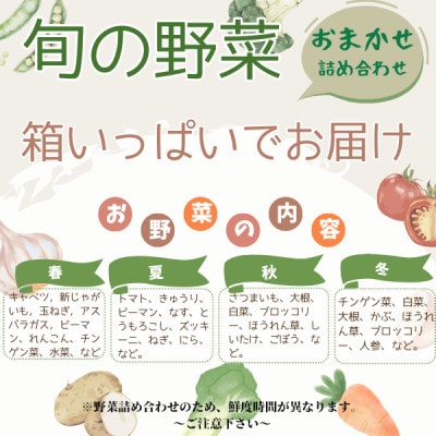 かすみがうら市産 旬の野菜おまかせセット 7～9種(2～3名様分)【配送不可地域：離島】