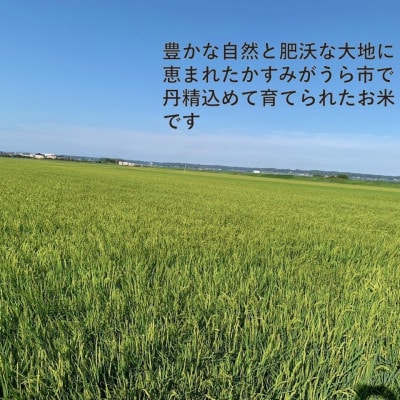 令和7年産　茨城県かすみがうら市産　精米　コシヒカリ　10kg