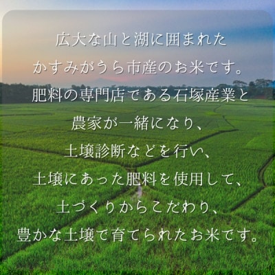 極上ふるさと米　精米10kg【配送不可地域：離島・北海道・沖縄県】