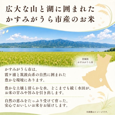 【毎月定期便】お米屋さんのコシヒカリ 精米 10kg(5kg×2)  全6回