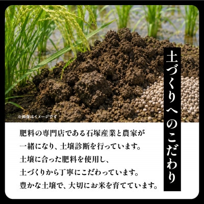 【毎月定期便】こだわりのコシヒカリ 玄米 5kg | 茨城県全6回