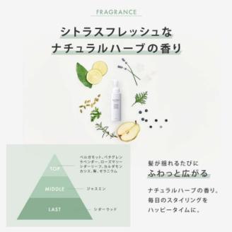 【SALONIA】スピーディーイオンドライヤー＆スタイリングオイル100ml×4本セット