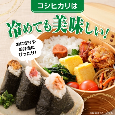 令和7年産かすみがうら市産コシヒカリ  精米  5kg