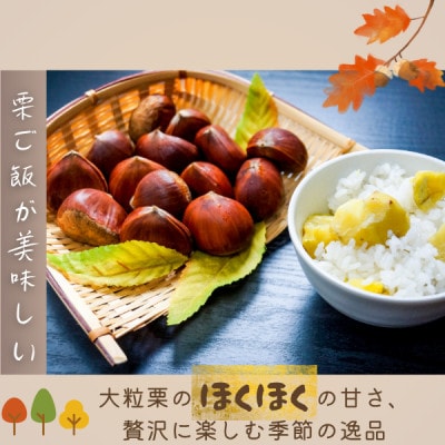 かすみがうら市産　生栗　3Lサイズ　3kg【配送不可地域：離島】