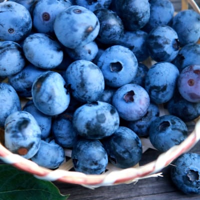 『ブルーベリーやすだ』ブルーベリージャム　3個セット