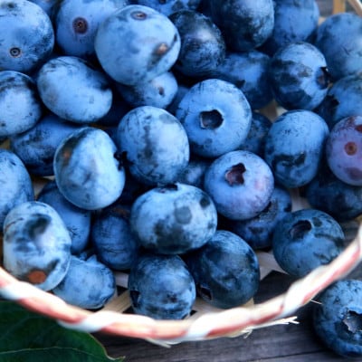 『ブルーベリーやすだ』ブルーベリージャム　6個セット