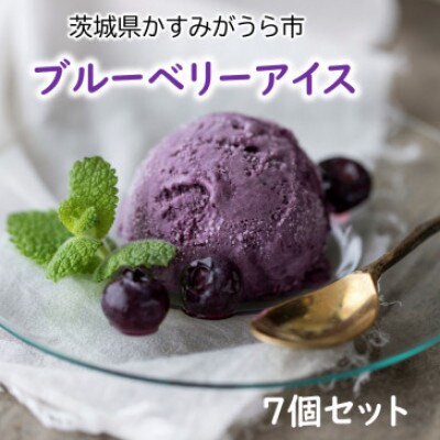 『ブルーベリーやすだ』の濃厚ブルーベリーアイス7個　＆　冷凍ブルーベリー500gのセット【配送不可地域：離島】