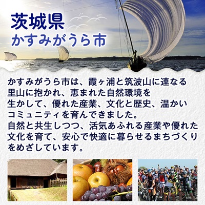 かすみ鴨モモ肉　1羽分×2パック(計2羽分)【配送不可地域：離島】