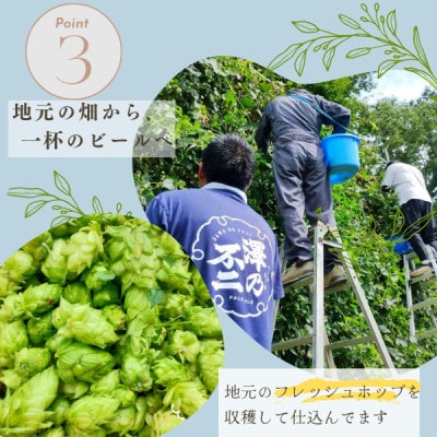霞ヶ浦コーヒースタウト 茨城県産クラフトビール 330ml×3本【配送不可地域：離島】