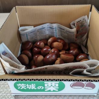 【2026年10月発送開始】産地直送!久保田果樹園の生栗2Lサイズ約3kg【配送不可地域：離島】