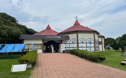 かすみがうら市水族館入館ご優待券とオリジナルTシャツ＆ハンカチ