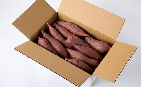 かすみがうら市産　さつまいも(紅はるか)約5kg