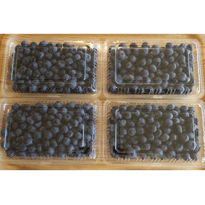 かすみがうら市特産　フレッシュブルーベリー　300g×4パック【配送不可地域：離島】
