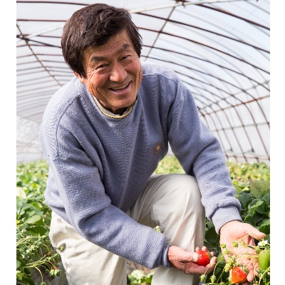 菅谷いちご園の完熟いちご　3Lサイズ　　　18粒(約420g)×2パック【配送不可地域：離島・北海道・沖縄県・信越、北陸・東海・近畿・中国・四国・九州】