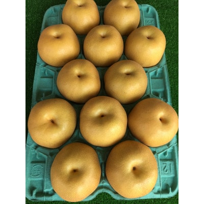 【2025年出荷受付】茨城県　千代田の梨(豊水・秋月いずれか)約5kg