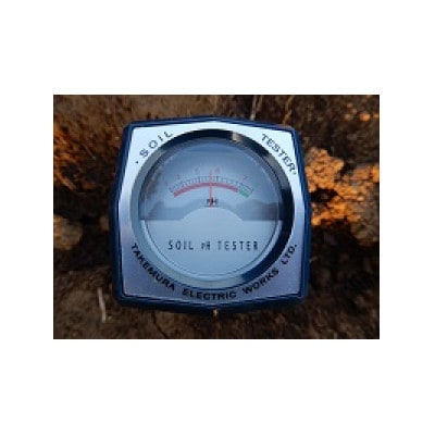 圧巻の味ナガノパープルと貴方の思考を変える味シャインマスカット　約1.2kg(2～3房)【配送不可地域：離島】