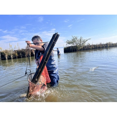 「霞ヶ浦の天然うなぎ」　霞ヶ浦で漁体験　1名様分