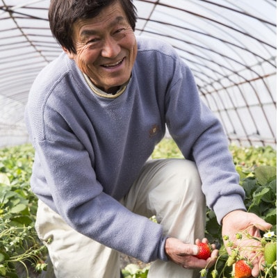 菅谷いちご園の完熟いちご『いちごっ子』 3Lサイズ 11粒×2パック【配送不可地域：離島・北海道・沖縄県・信越、北陸・東海・近畿・中国・四国・九州】