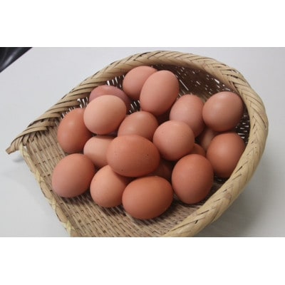 ナカジマ農場の「海藻卵」20個(海藻卵15個+割れ保障5個)とたまごやさんの焼き菓子詰め合わせ【配送不可地域：離島】