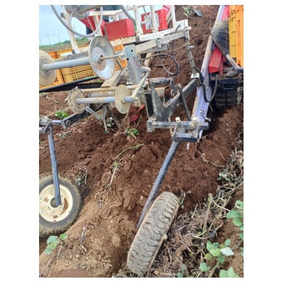 さつまいも(シルクスイート5kg)