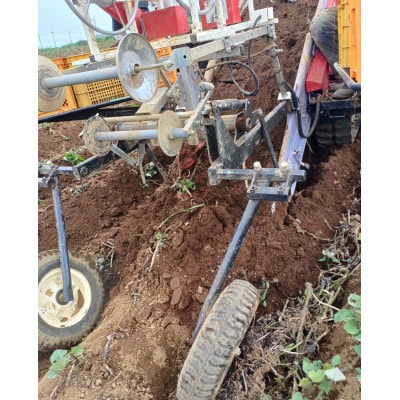 さつまいも(紅はるか)5kg