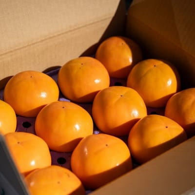 柿 早生(わせ) 3種セット 9～12個(約3.5kg)