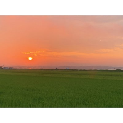 【毎月定期便】茨城県かすみがうら産 コシヒカリ 精米 10kg全6回