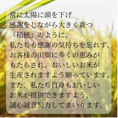 【毎月定期便】極上ふるさと米　精米5kg全3回【配送不可地域：離島・北海道・沖縄県】