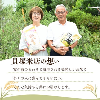 【毎月定期便】お米屋さんのコシヒカリ 精米 10kg(5kg×2)  全6回