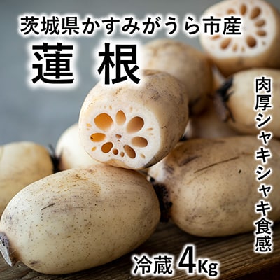 2023年10月発送開始『定期便』茨城県 特産品3種 全3回【配送不可地域：離島・沖縄県】