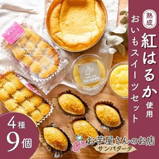 茨城県かすみがうら市産の熟成「紅はるか」を使用した、おいもスイーツセット　4種計9個【配送不可地域：離島】