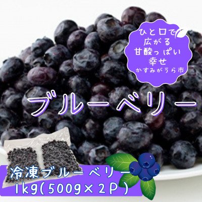 冷凍ブルーベリー1kg(500g×2パック)【配送不可地域：離島】