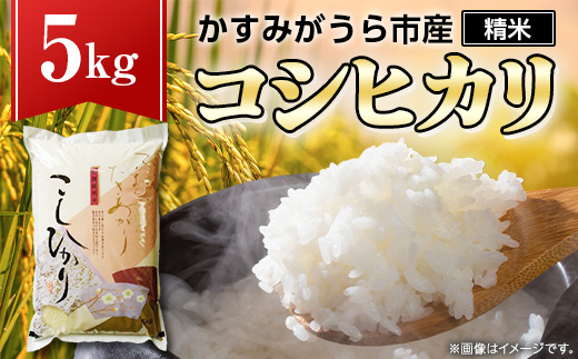 令和7年産かすみがうら市産コシヒカリ  精米  5kg