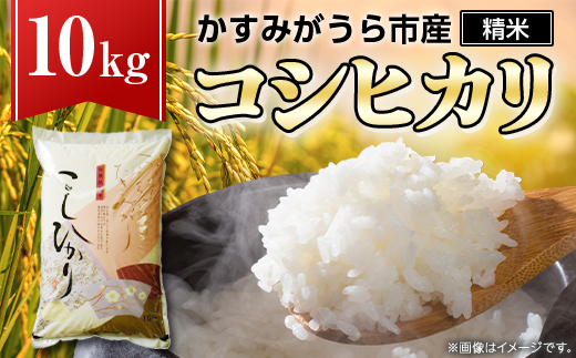 令和7年産かすみがうら市産コシヒカリ  精米  10kg