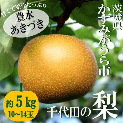 【2025年出荷受付】茨城県　千代田の梨(豊水・秋月いずれか)約5kg