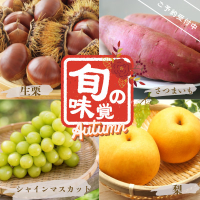 【先行受付】旬のくだもの詰め合わせ　-シャインマスカット・梨・さつまいも・栗-【配送不可地域：離島・沖縄県】