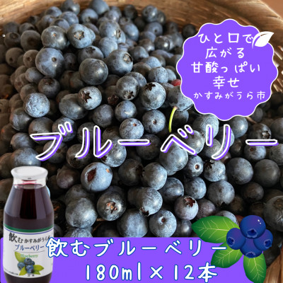 かすみがうら産　飲むブルーベリー　180ml×12本