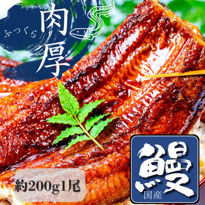 熟練された職人が作る「炭火焼き　国産うなぎ蒲焼」大サイズ約200g×1尾【配送不可地域：離島】