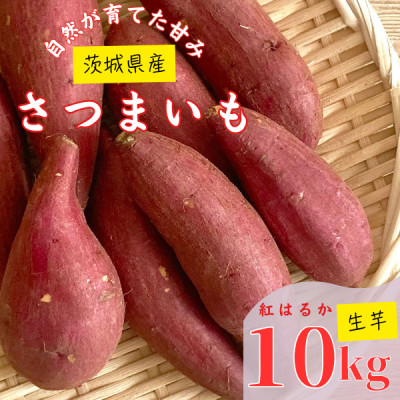 【茨城県産】生さつまいも 紅はるか 10Kg