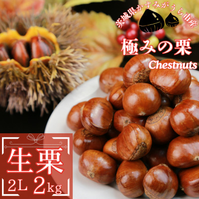 2026年産!大粒生栗 先行予約受付中 かすみがうら市産　生栗　2Lサイズ 2kg【配送不可地域：離島】