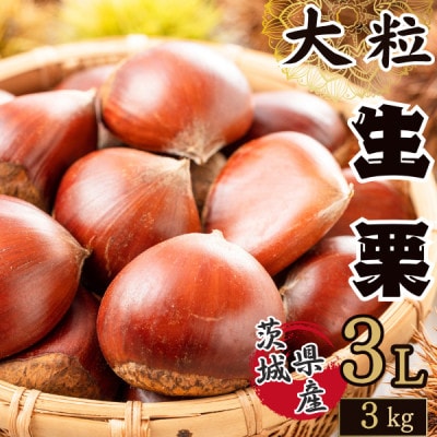かすみがうら市産　生栗　3Lサイズ　3kg【配送不可地域：離島】
