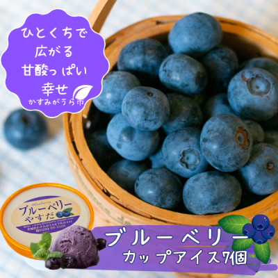 『ブルーベリーやすだ』の濃厚ブルーベリーアイス　7個セット【配送不可地域：離島】