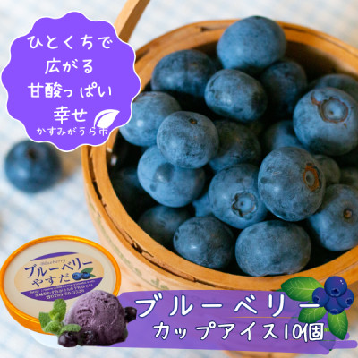 『ブルーベリーやすだ』の濃厚ブルーベリーアイス　10個セット【配送不可地域：離島】