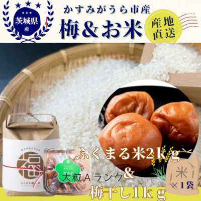 茨城県産『常陸乃梅』　大粒Aランク梅干し　無添加　1Kg　＆　ふくまる厳選米　2Kg